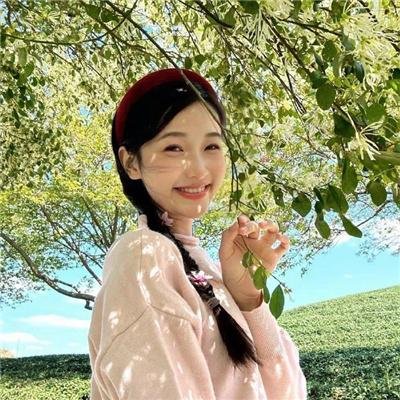 大宋有奇案