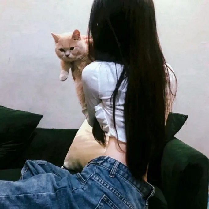 猫狗大战2：珍珠猫复仇
